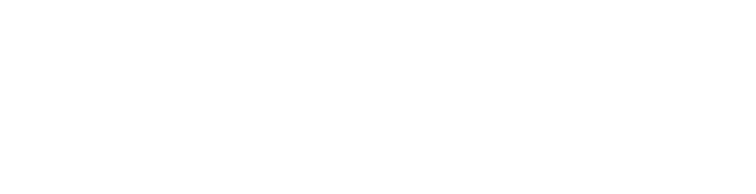 Revvo